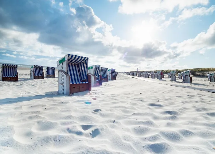 Haus Seeigel Stranddistel Norderney